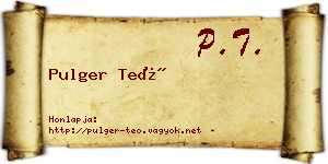 Pulger Teó névjegykártya